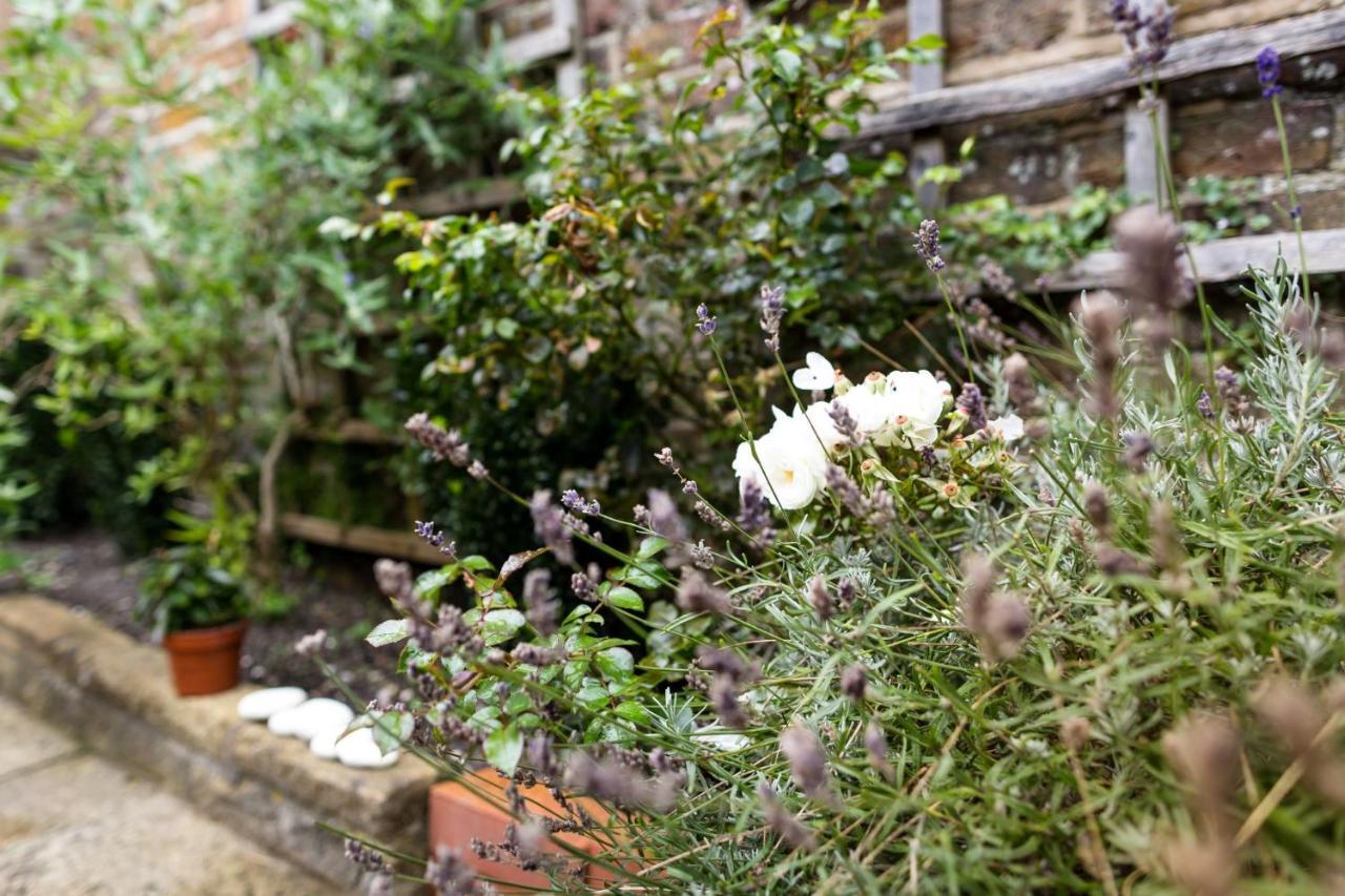 Meads Garden Cottage Close To Sea Eastbourne Exteriör bild